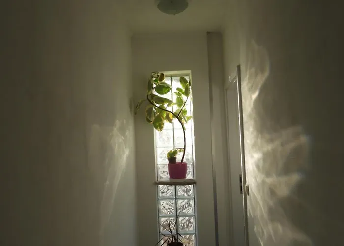 Apartamento Pobuk Primošten