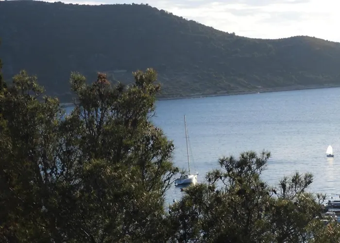 Apartment Pobuk Primosten